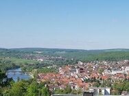 Schöne Aussicht Große 3 ZW mitTerrasse und Garten - Marktheidenfeld