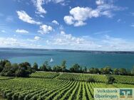 Zu vermieten, 4 Zimmer Dachgeschoss Maisonette in Meersburg mit frontaler See- und Bergsicht - Meersburg