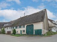 Historisches Bauernhaus - Viel Raum, um eigene Ideen zu verwirklichen - Sulz (Neckar)