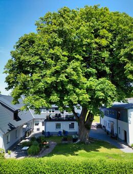 Kapitalanlage! - Anwesen mit 9 Wohneinheiten, verteilt auf 2 Mehrfamilienhäuser + Baugrundstück uvm. - Sieverstedt