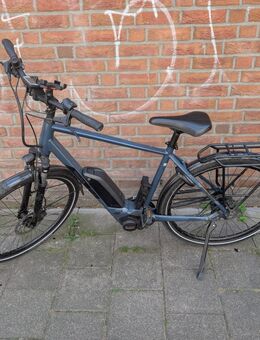 Pegasus Solero E8 sport - Düsseldorf