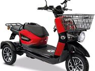 Rolektro Elektromobil Rolektro E-Carrier 25 V.3 Lithium ohne Koffer, 1000 W, 25 km/h, (Korb)