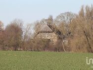 Herrschaftlich residieren - Denkmalgeschütztes Gutshaus in Mecklenburger Idylle - Boddin