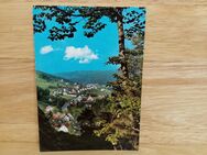 Ansichtskarte-AK-411-Warmensteinach im Fichtelgebirge. Blick vom Höllfelsen. - Nörvenich