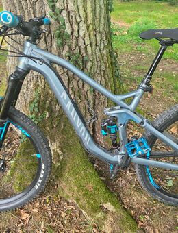 Mountainbike Canyon Strive AL 6.0 Race - Kamp-Lintfort