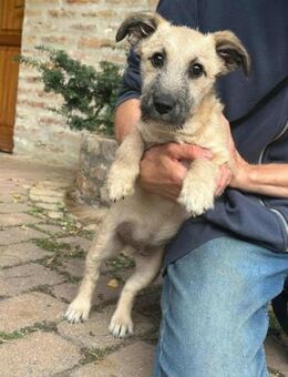 Bumi wartet auf tolle Abenteuer - Nordwalde