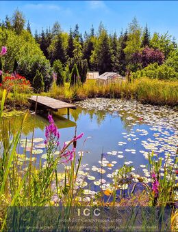 Landsitz (ehemaliges Sacherl) in Alleinlage umgeben von Wald und Wiesen Nähe Osterhofen - Landkreis Deggendorf - Osterhofen