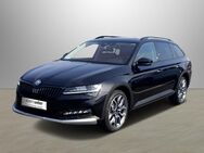 Skoda Superb, 2.0 TDI Combi Scout Final Edition unter UVP, Jahr 2022 - Schlüchtern