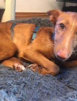 Liebe Rita - Eichenzell