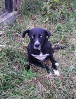 Jessi - Mönchengladbach