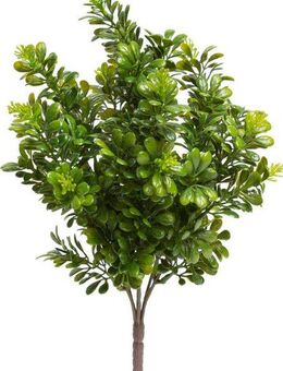 Künstliche Zimmerpflanze Buchsbusch mit 7 Stielen, Botanic-Haus, Höhe 32 cm