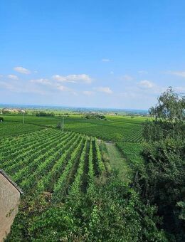 Traumhafte Aussicht die ihresgleichen sucht ! In sich geschlossenes,denkmalgeschütztes ehemaliges Winzeranwesen. - Gleisweiler