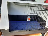 Ferplast Hundebox 100x60x60cm VB 80,-€ (NP 153,-€) - Ismaning