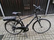 e bike pedelec gebraucht - Kirchberg (Sachsen)