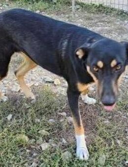 Sally 🥰 - Sindelfingen