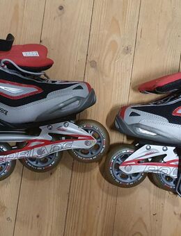 Rollerblade, wurden nie auf der Strasse benutzt. - Tönning