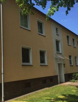 Hier können Sie alt werden. - Duisburg