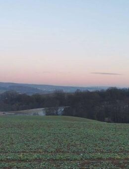 Landwirtschaftlicher Betrieb mit 45 Hektar Land bei Göttingen! - Rüdershausen