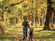 Waldtalk für hochsensible Menschen im Münsterland und drüber hinaus :) - Münster