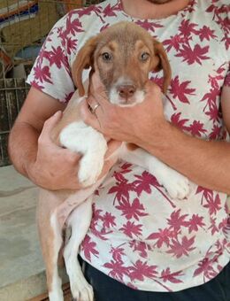 Zypra wurde frei geboren - Steinhagen (Nordrhein-Westfalen)