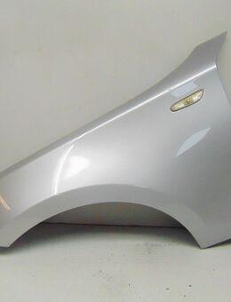 BMW 1er-Reihe E81/E87 (Typ:E81/E87) Kotflügel links 0131061PI0100 - Pinneberg