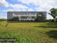 Baugrundstück in Griesheim - Griesheim