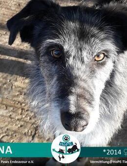 ERNA - 2014 - Leimen (Baden-Württemberg)