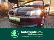 Skoda Fabia, 1.0 MPI Cool Edition Cool Edition, Jahr 2016 - Hiddenhausen