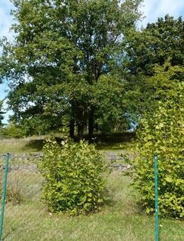 Bahren Loreley - Großes Grundstück mit 2 Stück WE - Häuser - B Plan ist in arbeit (noch nicht fertig / rechtskräftig) - Grimma