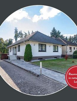 Lichtdurchflutet, modernisiert, gepflegt - Einfamilienhaus mit Gartenidylle - Hitzacker (Elbe)