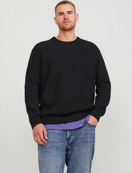 Jack & Jones PlusSize Rundhalspullover JORBRODY KNIT CREW NECK BF PLS