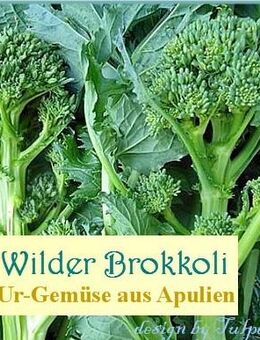 ♥ Wilder Brokkoli samenfestes Ur-Gemüse ! Stängelkohl Samen Garten Tulpenstolz - Hamburg