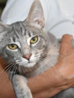 Junge Anita hofft auf ein Zuhause - Neuss