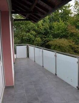 Gartenliebhaber gesucht ! Wohnung in Nürnberg, Spitalhof - Nürnberg