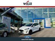 Ford Fiesta, 1.1 Cool Connect Easy-Driver-Paket EU6d-T, Jahr 2019 - Dülmen