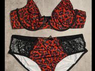 Curve Dessous Set mit BH und Pants / Größen von 0XL bis 4XL - Marl (Nordrhein-Westfalen)
