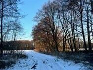 Zwischen Natur und Stadt: Die Zukunft des energieeffizienten Wohnens mit Förderung durch KfW40 - Oranienburg