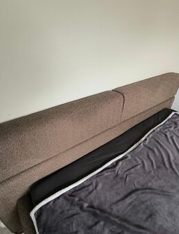 Polsterbett zu verkaufen - Steinhagen (Nordrhein-Westfalen)