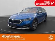 Skoda Octavia, 2.0 TDI Combi Scout, Jahr 2021 - Leinefelde-Worbis