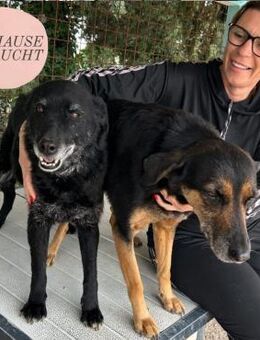 NAOMI & LERO suchen gemeinsames ZH❤️ - Saarbrücken