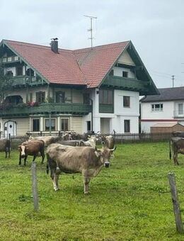 Wohnung in bester Lage von Peißenberg - Peißenberg