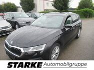 Skoda Octavia, 2.0 TDI Combi Style, Jahr 2021 - Osnabrück