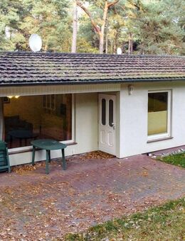 Ferienbungalow "Im Dünenwald" - Ihr Rückzugsort zwischen Meer und Wald auf Rügen - Altenkirchen (Mecklenburg-Vorpommern)