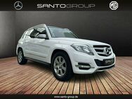 Mercedes-Benz GLK 220 CDI 4MATIC Navi/Autom./Klima/Park-Assist. - Freiburg (Breisgau)