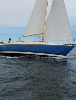 Dufour 27 Baunummer 1 - Kappeln (Schleswig-Holstein)