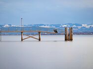 Im Frühjahr 2025 einziehen - B.0.1 - Friedrichshafen