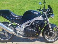 Motorrad Triumph Speed Triple - Amerang