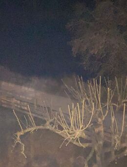 Frisch sanierte große Wohnung sucht vierköpfige Familie - Fahrenzhausen