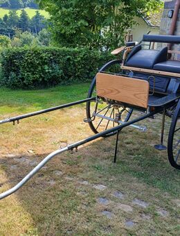 Kutsche Gig Einspänner - Witten