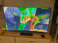 Samsung TV Curved 55 Zoll Q7C - Brakel